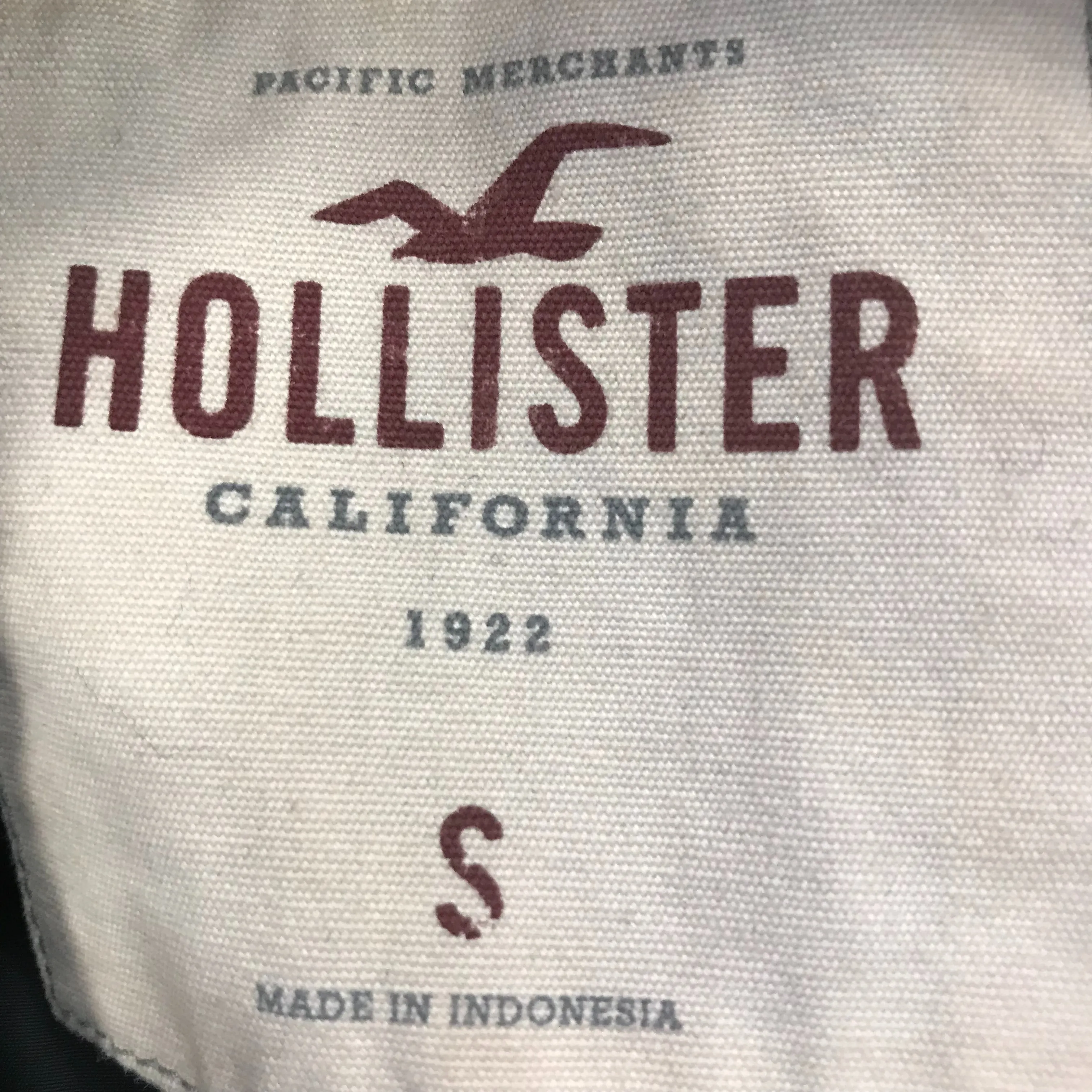 Veste - Hollister - S 